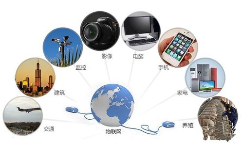 物聯(lián)網(wǎng)時代的隱形戰(zhàn)場 網(wǎng)絡(luò)與信息安全軟件開發(fā)的九大核心挑戰(zhàn)